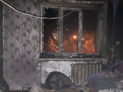 В Челябинской области двое детей пострадали при пожаре - u24.ru - Челябинская обл.