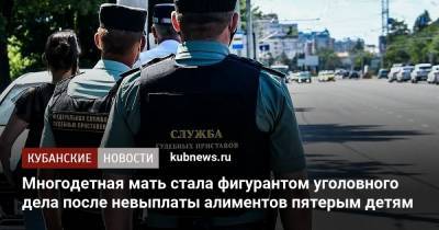 Многодетная мать стала фигурантом уголовного дела после невыплаты алиментов пятерым детям - kubnews.ru - Сочи - Краснодарский край