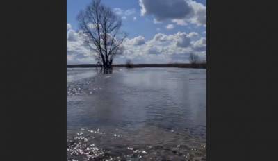 Поплыли! Паводок превратил дороги в Добровском районе в реки - lipetskmedia.ru - район Добровский