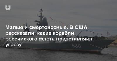 Малые и смертоносные. В США рассказали, какие корабли российского флота представляют угрозу - news.tut.by - Москва - Россия - США