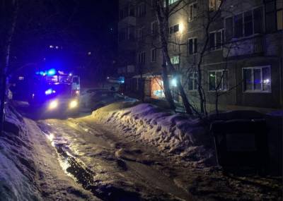 В Новосибирске спасли пострадавшую при пожаре пожилую женщину - runews24.ru - Новосибирск