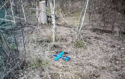 На Донбассе оккупанты начали начинять взрывчаткой детские игрушки - lenta.ua - Донбасс