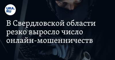В Свердловской области резко выросло число онлайн-мошенничеств. Полицейские раскрывают лишь 6% - ura.news - Екатеринбург - Свердловская обл.