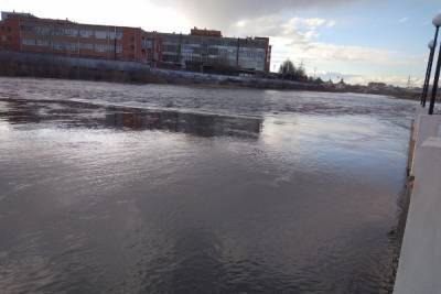 В Туле уровень воды в Упе в районе набережной Дрейера за сутки упал на 20 см - tula.mk.ru - Тула - Тульская обл.