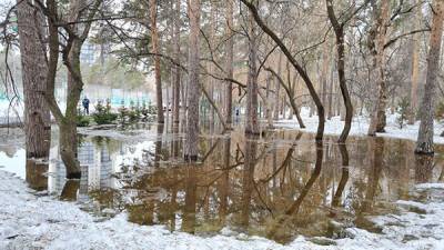 Резкое потепление в Екатеринбурге стало причиной потопа в "Зеленой Роще" - nakanune.ru - Екатеринбург