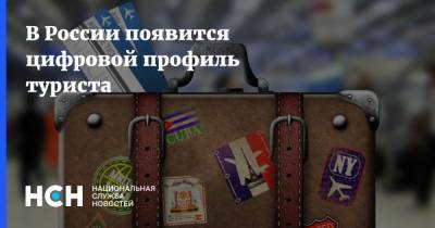 В России появится цифровой профиль туриста - nsn.fm - Россия