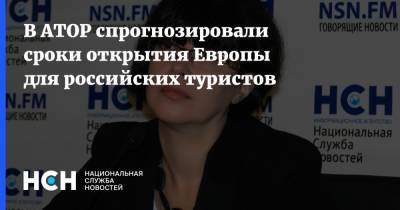 Майя Ломидзе - В АТОР спрогнозировали сроки открытия Европы для российских туристов - nsn.fm - Греция - Европа