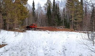 Активисты требуют прекратить вырубку леса на туристской тропе к горе Ялангас - mkset.ru - Башкирия - район Белорецкий