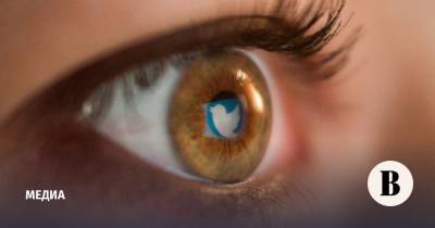 Роскомнадзор продлил замедление работы Twitter до 15 мая - vedomosti.ru