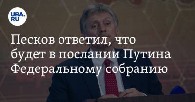 Владимир Путин - Дмитрий Песков - Сергей Леонов - Песков ответил, что будет в послании Путина Федеральному собранию - ura.news