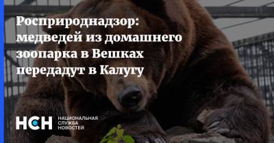 Светлана Радионова - Владимир Барданов - Росприроднадзор: медведей из домашнего зоопарка в Вешках передадут в Калугу - nsn.fm