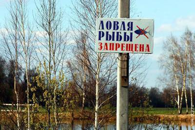В Ярославлавской области запретят рыбалку - yar.mk.ru - Ярославская обл.