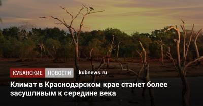 Роман Вильфанд - Климат в Краснодарском крае станет более засушливым к середине века - kubnews.ru - Крым - Краснодарский край - Ставрополье