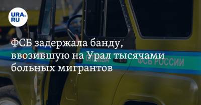 ФСБ задержала банду, ввозившую на Урал тысячами больных мигрантов. Инсайд - ura.news - Свердловская обл.