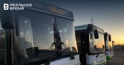 Наиль Магдеев - В Челнах планируют отказаться от автобусов малой вместимости - realnoevremya.ru - респ. Татарстан - Набережные Челны