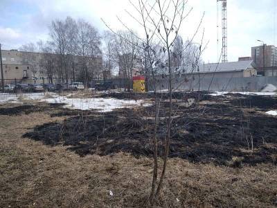 В выходные в Смоленской области зафиксировали 13 палов сухой травы - rabochy-put.ru - Смоленская обл.