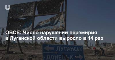 ОБСЕ: Число нарушений перемирия в Луганской области выросло в 14 раз - news.tut.by - Луганская обл. - Донецкая обл.