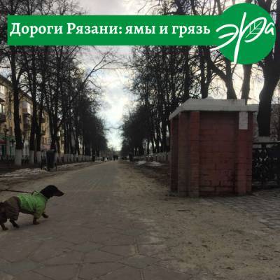 Экоактивисты назвали причину грязи и пыли на улицах Рязани - 7info.ru - Рязань