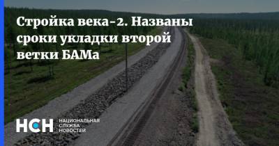 Анатолий Васильев - Стройка века-2. Названы сроки укладки второй ветки БАМа - nsn.fm - Февральск