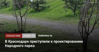 Евгений Первышов - В Краснодаре приступили к проектированию Народного парка - kubnews.ru - Краснодарский край - Краснодар - Благоустройство
