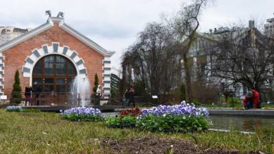 Фестиваль цветов пройдет в "Аптекарском огороде" с 10 апреля по 31 мая - m24.ru