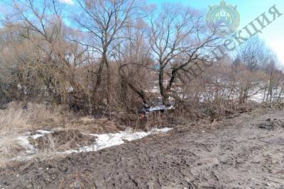 В Заокском районе нетрезвый водитель наехал на дерево - tula.mk.ru - Тула - Тульская обл. - район Заокский