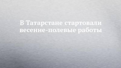 В Татарстане стартовали весенне-полевые работы - chelny-izvest.ru - респ. Татарстан