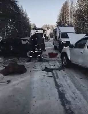 Пострадавшая в ДТП в Коми годовалая девочка уже месяц находится в тяжелом состоянии - bnkomi.ru - респ. Коми - Сыктывкар - район Сосногорский