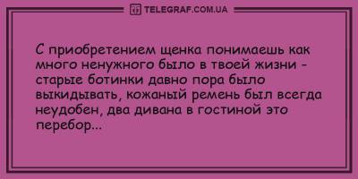 Анекдоты на вечер 5 апреля подарят вам невероятные эмоции - ТЕЛЕГРАФ - telegraf.com.ua