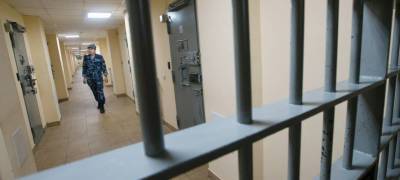 В Карелии виновник смертельного ДТП получил 5 лет колонии - stolicaonego.ru - Петрозаводск - район Прионежский - республика Карелия