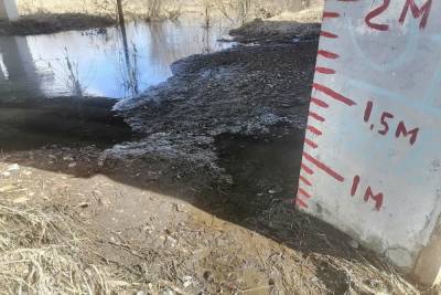 Река Шиворонь в Киреевском районе вернулась в берега - tula.mk.ru - Тула - Тульская обл.