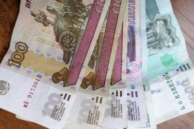 За 2020 год туляки почти 79 млн раз перевели на карты в среднем по 4 300 рублей - tula.mk.ru - Тульская обл.
