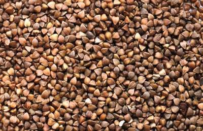 Украина скупает более 90% экспорта казахстанской гречихи - agroportal.ua - Казахстан - Турция