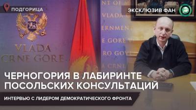 Милан Кнежевич: Черногория процветала, когда была партнером России - riafan.ru - Москва - Черногория