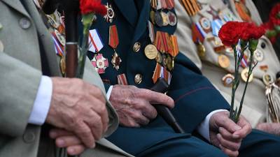 Светлана Бессараб - В ГД объяснили важность закона об ужесточении наказания за оскорбление ветеранов - iz.ru
