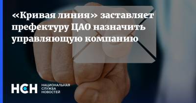 «Кривая линия» заставляет префектуру ЦАО назначить управляющую компанию - nsn.fm - Москва