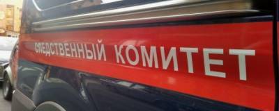По факту изъятия ребенка из семьи в Севастополе пройдет проверка - runews24.ru - Крым - Севастополь