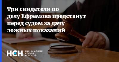 Ирина Волк - Михаил Ефремов - Три свидетеля по делу Ефремова предстанут перед судом за дачу ложных показаний - nsn.fm
