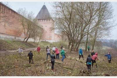Экологический месячник начался 5 апреля в Смоленске - mk-smolensk.ru - Смоленск