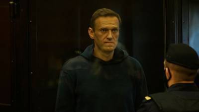 Алексей Навальный - «Известия»: Навального перевели в медсанчасть из-за ОРЗ - gazeta.ru - Владимирская обл.