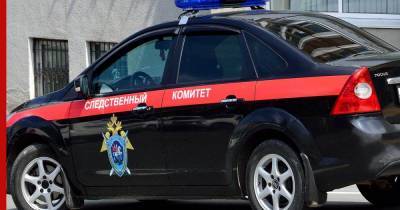 Юлия Иванова - В СК проверят информацию о "профессиональных соседях" в Москве - profile.ru - Москва