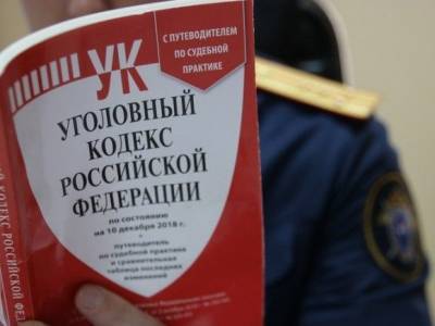 Юлия Иванова - СК разбирается с «профессиональными соседями», которые не дают жить двум москвичкам - rosbalt.ru - Москва - Ижевск