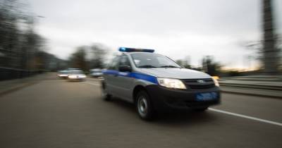 Лобовое стекло вдребезги и помятый капот: калининградец из мести забросал машину соседа камнями - klops.ru - Калининград - Черняховск