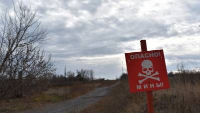 Украинский военный погиб на минном поле у границ ДНР - politros.com - Украина - Киев - ДНР - Горловка
