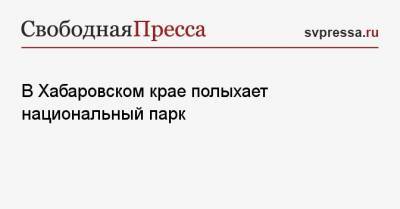 В Хабаровском крае полыхает национальный парк - svpressa.ru - Хабаровский край - респ.Бурятия - Самарская обл.