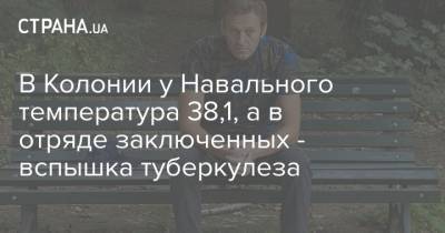Алексей Навальный - В Колонии у Навального температура 38,1, а в отряде заключенных - вспышка туберкулеза - strana.ua - Владимирская обл.