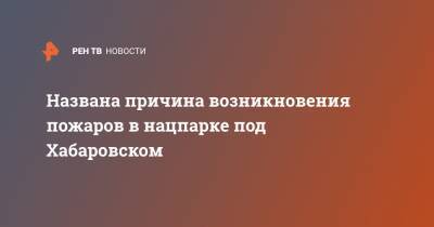 Названа причина возникновения пожаров в нацпарке под Хабаровском - ren.tv - Хабаровский край - Хабаровск