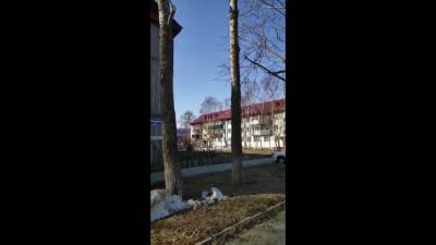 Сахалинка изводит соседей и чиновников из-за шума, который слышит только она - sakhalin.info - Александровск