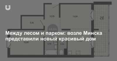 Между лесом и парком: возле Минска представили новый красивый дом - news.tut.by - Минск - Голландия