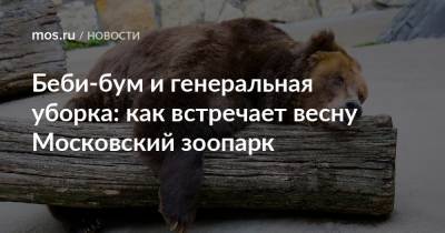Беби-бум и генеральная уборка: как встречает весну Московский зоопарк - mos.ru - Москва